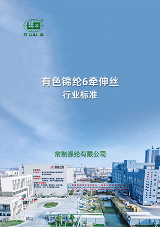 有色锦纶6牵伸丝行业标准